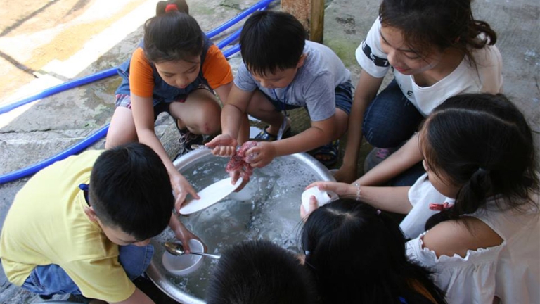 Công ty TNHH Đào tạo và Phát triển Thiên Tài Việt