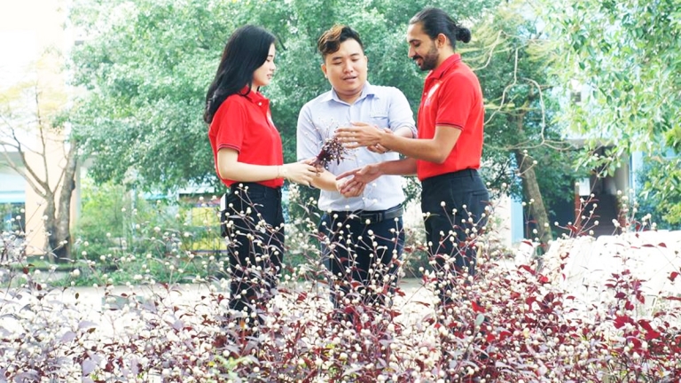 Trường Đại Học Kinh Tế Công Nghiệp Long An 