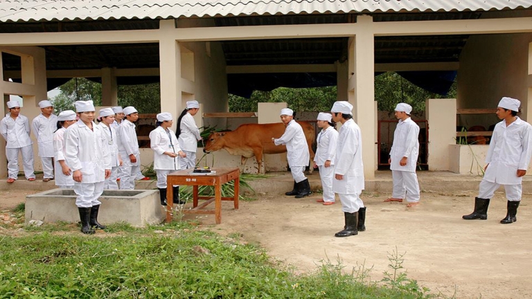 Trường Cao đẳng Nông lâm Thanh Hóa