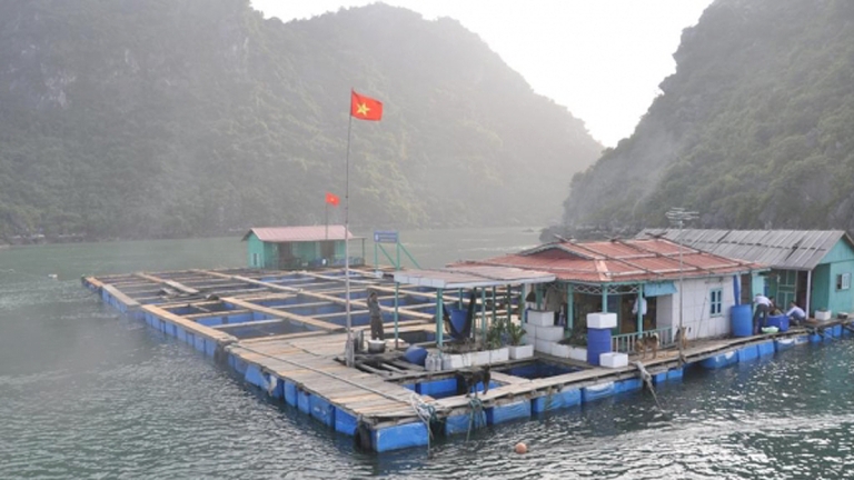 Trường Cao Đẳng Thủy Sản 