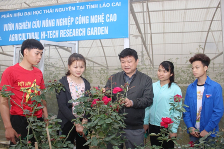 Giảng viên đang chỉ dẫn cho sinh viên 