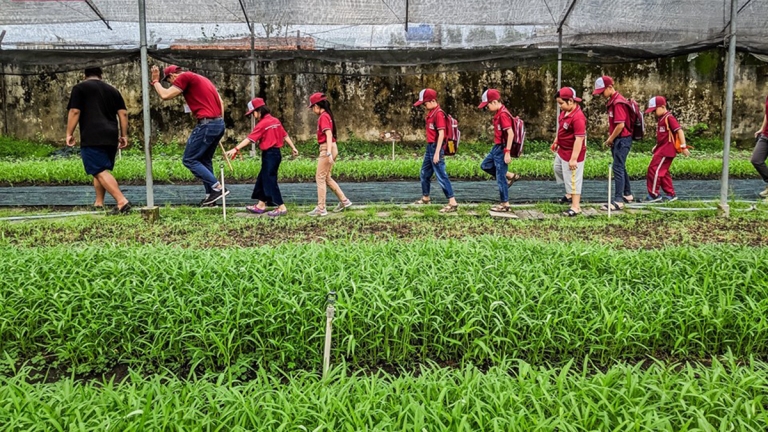Học viện iDL Việt Nam