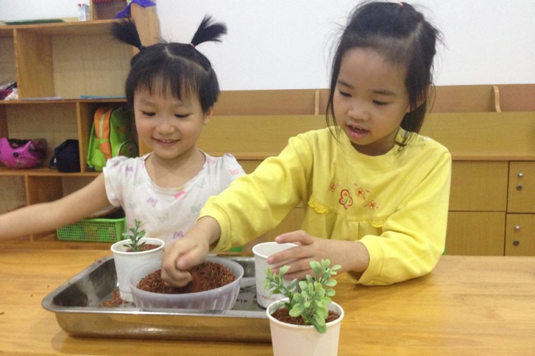 hoc-vien-dolphinkids