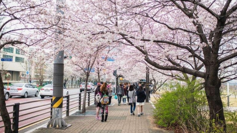 Trung tâm ngoại ngữ Hải Phòng.