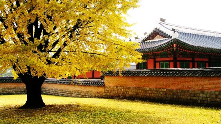 Trung tâm dạy tiếng Hàn Quốc - Việt Trì