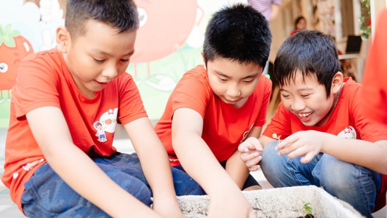 Trường Ngoại khóa Tomato