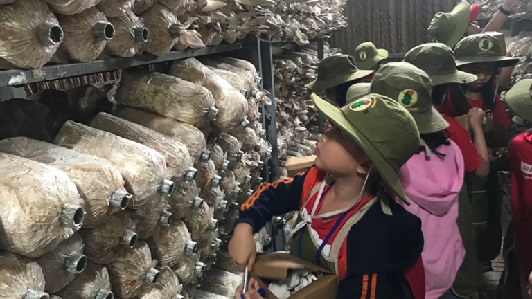 Trường Ngoại khóa Tomato