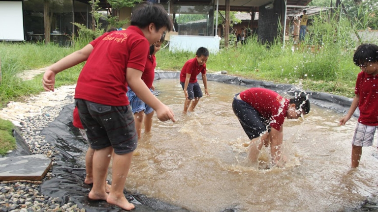 Rồng Việt Education