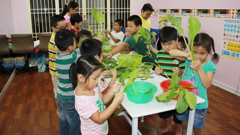 Rồng Việt Education