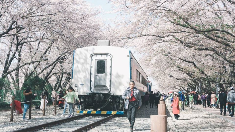 Trung tâm Ngoại ngữ Wish Edu