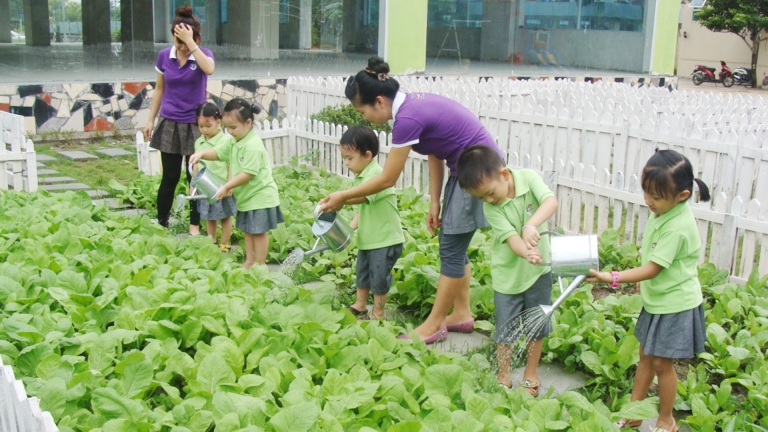 Trường Liên cấp IQ School