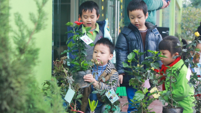 Trường Liên cấp IQ School