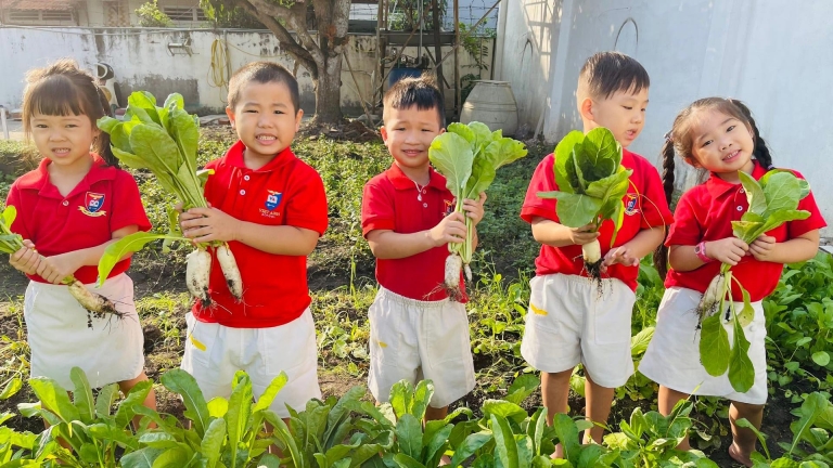 Trường Mầm non Việt Anh