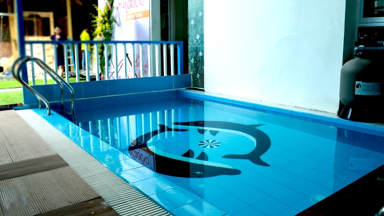 Trường Mầm non Song ngữ Tomoe House