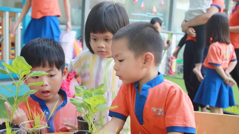 Trường Mầm non Song ngữ Tomoe House