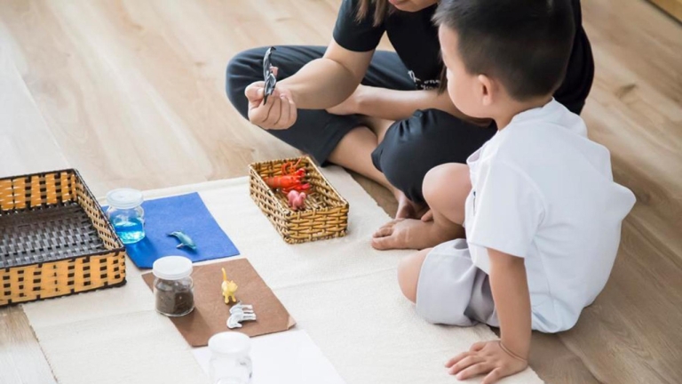 Trường Mầm non Song ngữ Carrot Montessori House