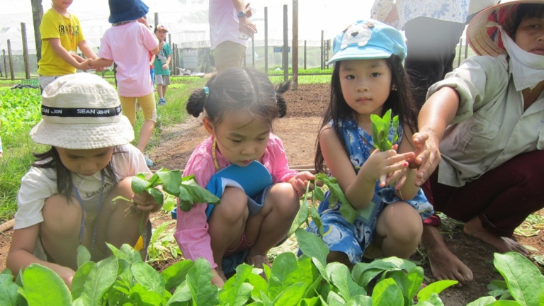 Trường Mầm non Quốc tế O'Hana