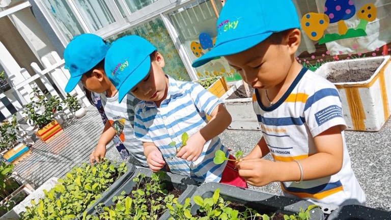 Trường Mầm non Song ngữ Bầu Trời Xanh