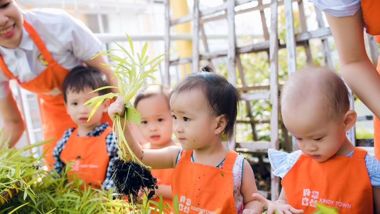 Trường Mầm non Song ngữ Kindy Town