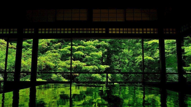 Trung tâm Ngoại ngữ Momiji