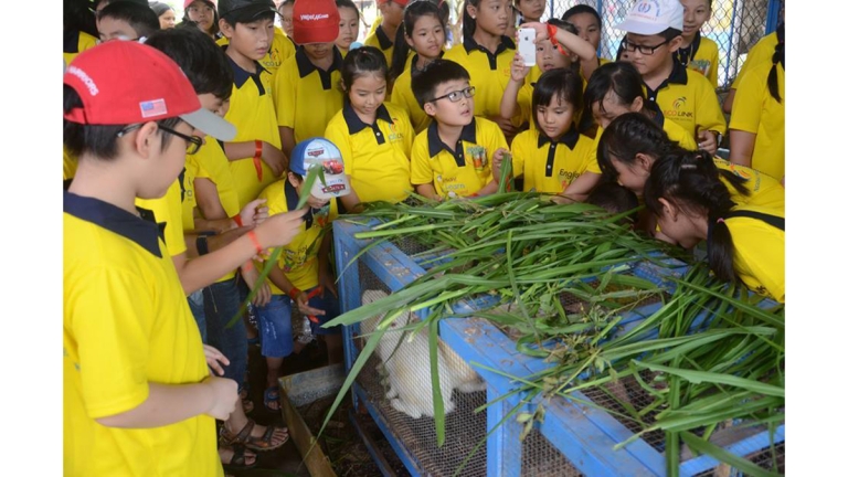 Trung tâm Anh ngữ Quốc tế ECOLINK