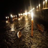 Nguyễn thị Thùy Dung