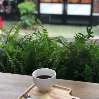 Nguyễn  Văn Thiện