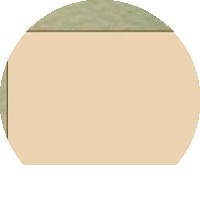 Đoàn Thị Phương Ánh