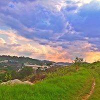 Trần Trương  Song Ý 