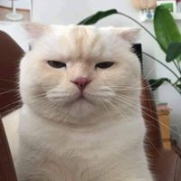 Ngân Trần Thị Bích