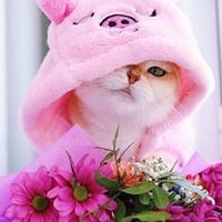 Phan Ngọc Phương  Trinh