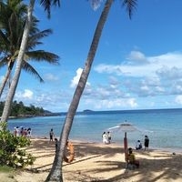 Nguyễn Đức Trung