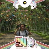 Nhật Linh Nhật Linh