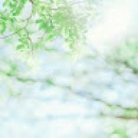 Nguyễn Thị Xuân Hà