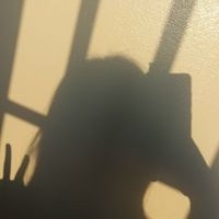 Hoàng Phương Thảo Thảo