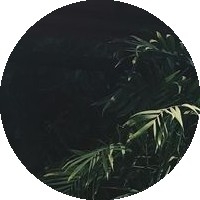 Nguyễn Phương Mai