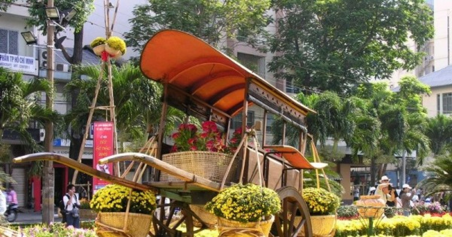 Bỏ túi ngay những địa điểm mua hoa Tết ở Hà Nội