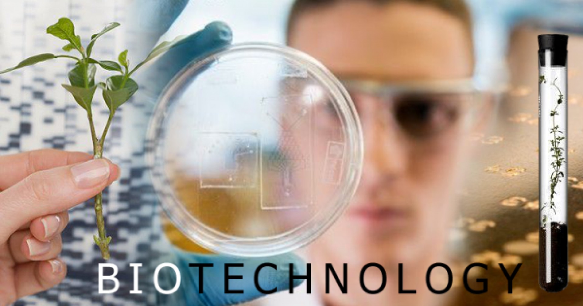 Công nghệ sinh học – ngành “hot” phát triển tương lai?