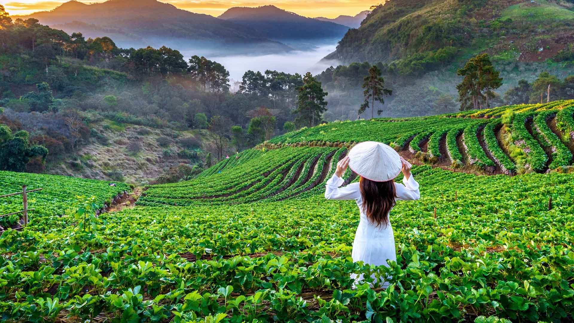Giới thiệu văn hóa Việt Nam với “kho dữ liệu” tiếng Anh du lịch thông dụng