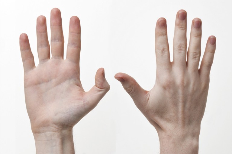 Bàn tay có năm ngón tượng trưng cho năm anh em 