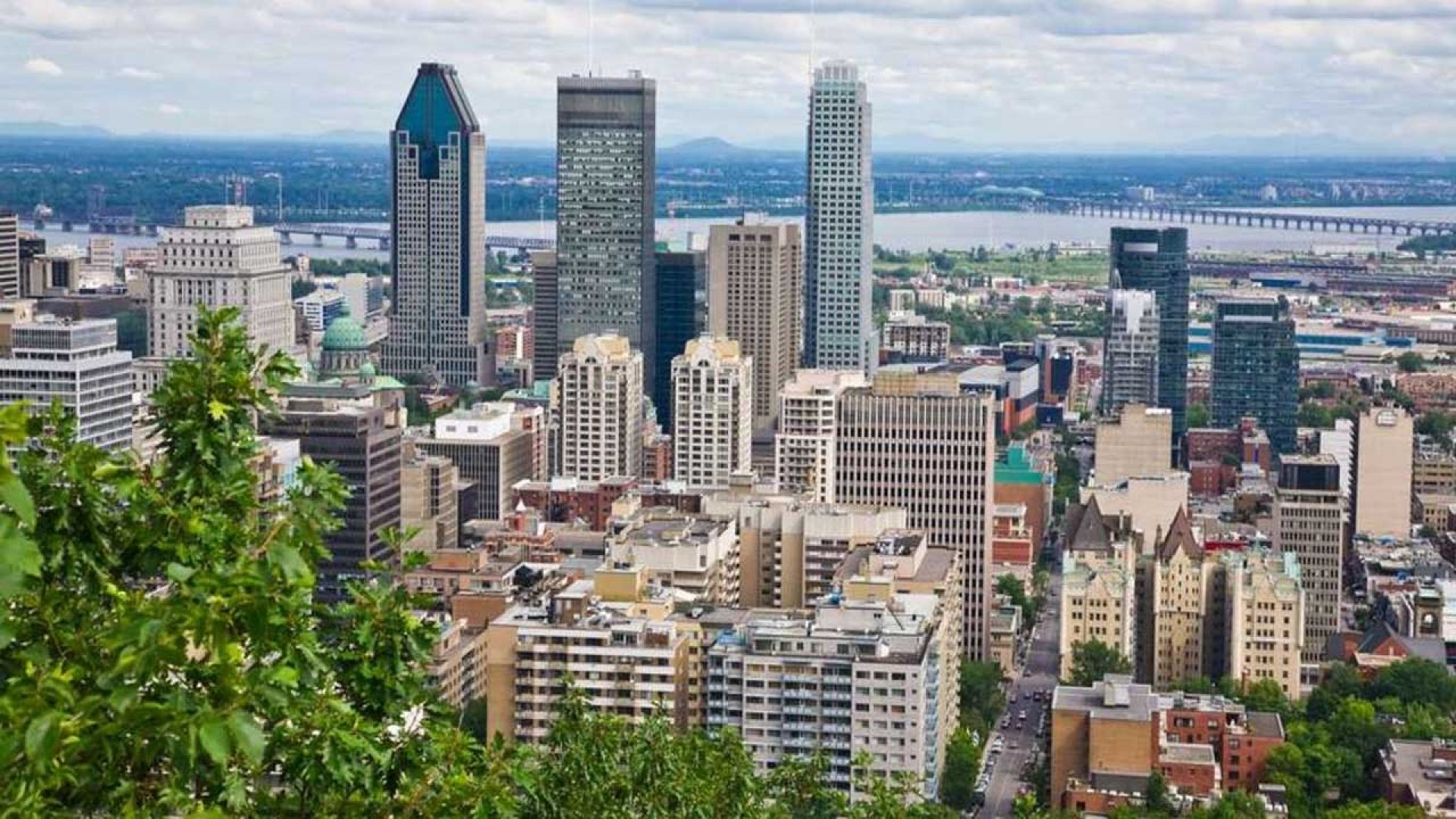 Các trường đại học ở Montreal Canada được cưng như trứng