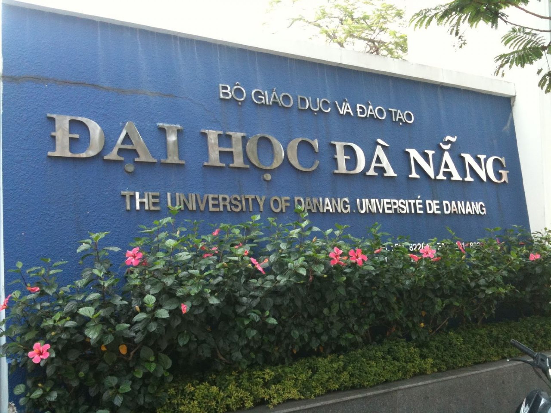 Vì đâu Đại học Đà Nẵng luôn được tin tưởng và lựa chọn?