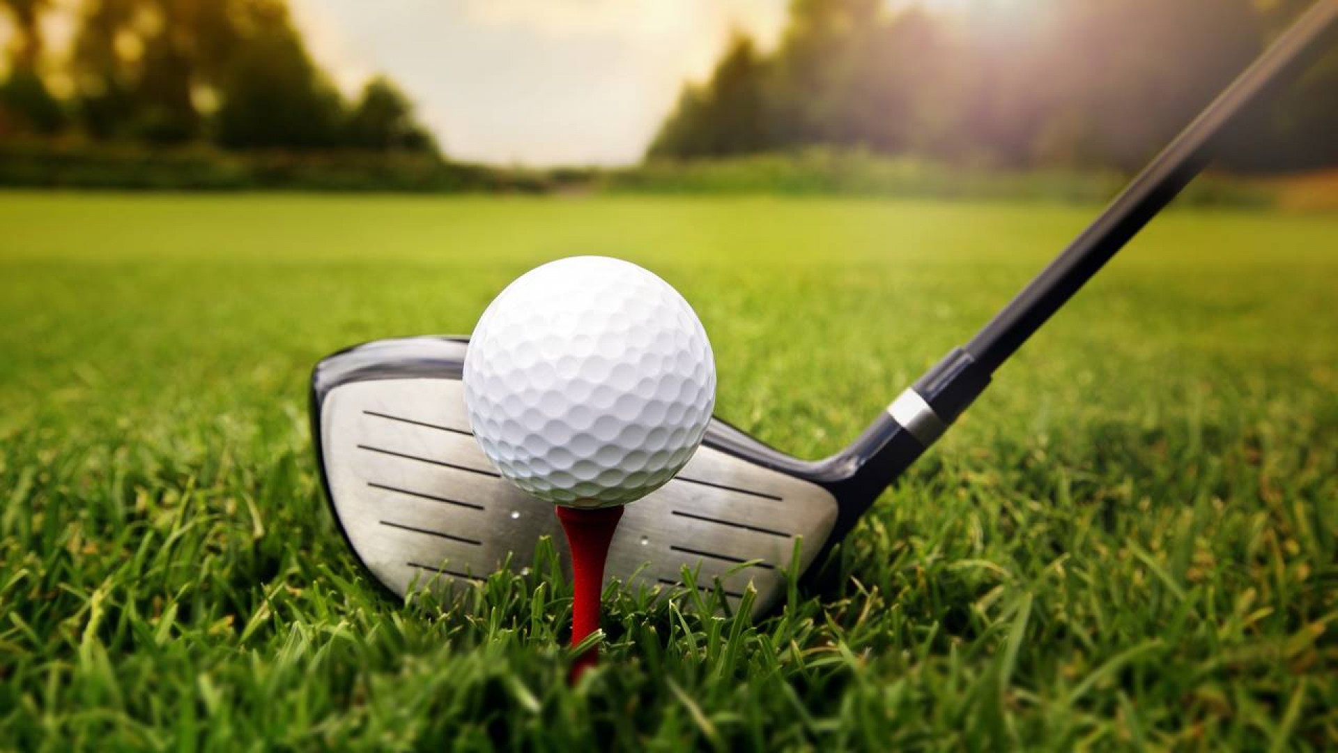 Golf và Gym – Fitness: 2 ngành thời thượng, thu nhập cao và đầy hứa hẹn