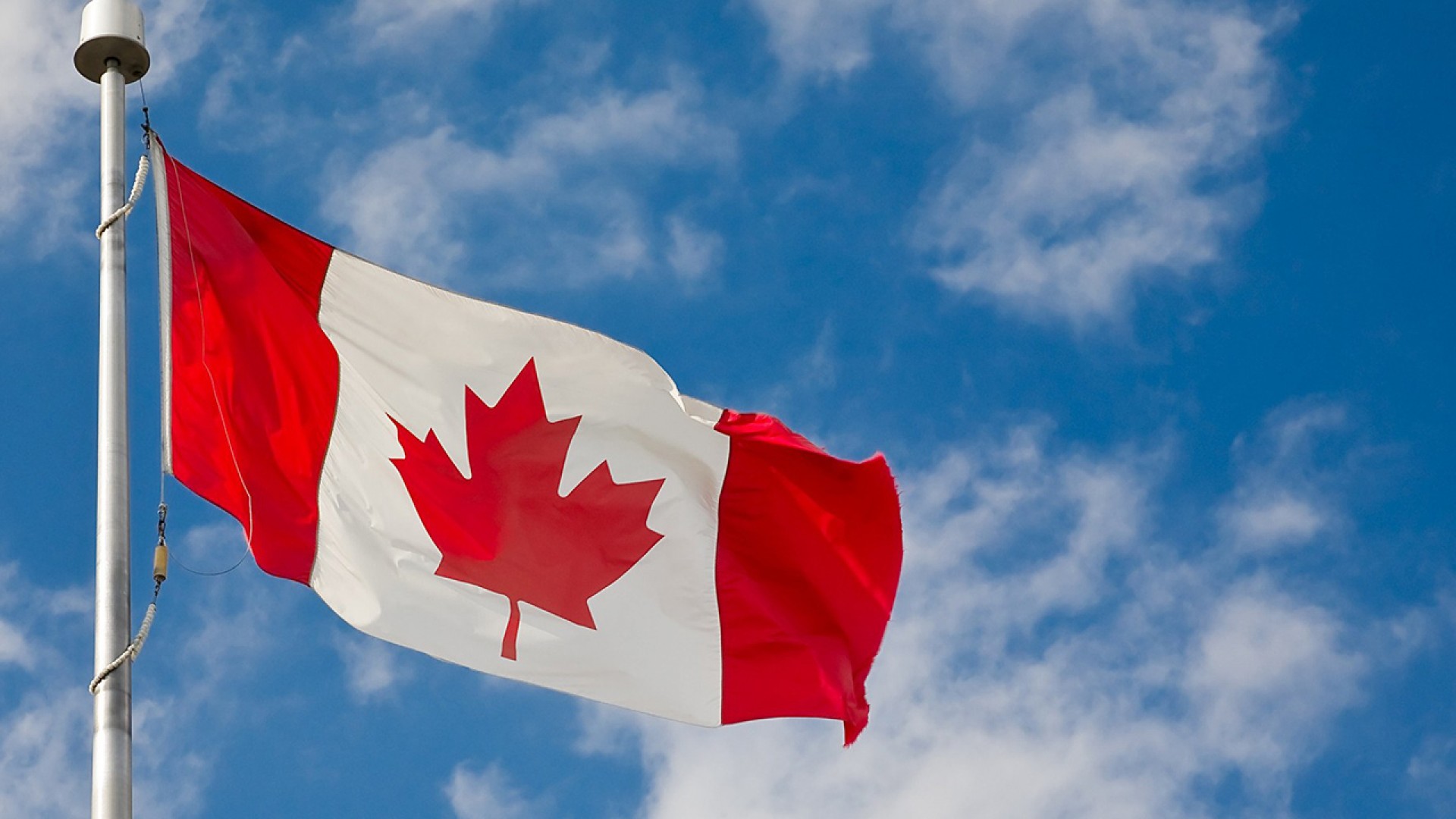 Du học Canada nên học ngành gì để có thu nhập cao?