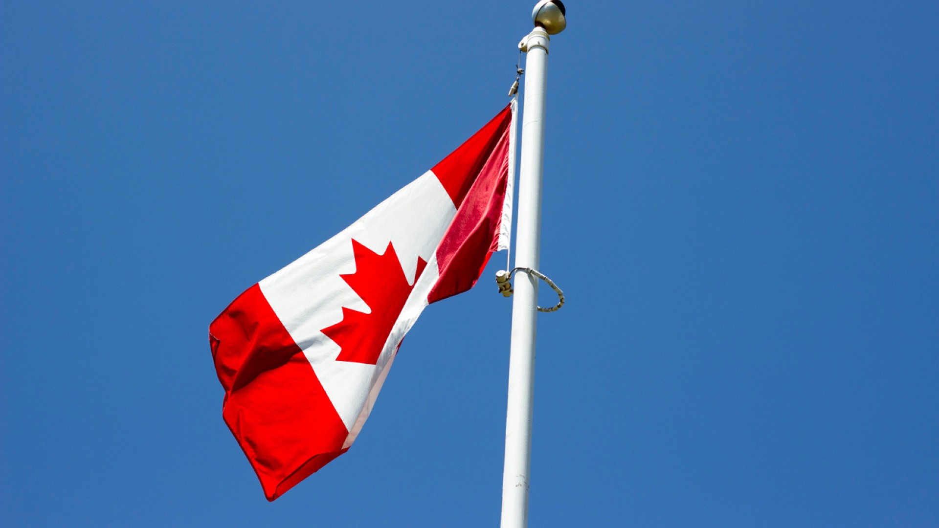 Thủ tục đi du học Canada: Làm sao để nhận được thư chấp thuận nhập học từ trường?