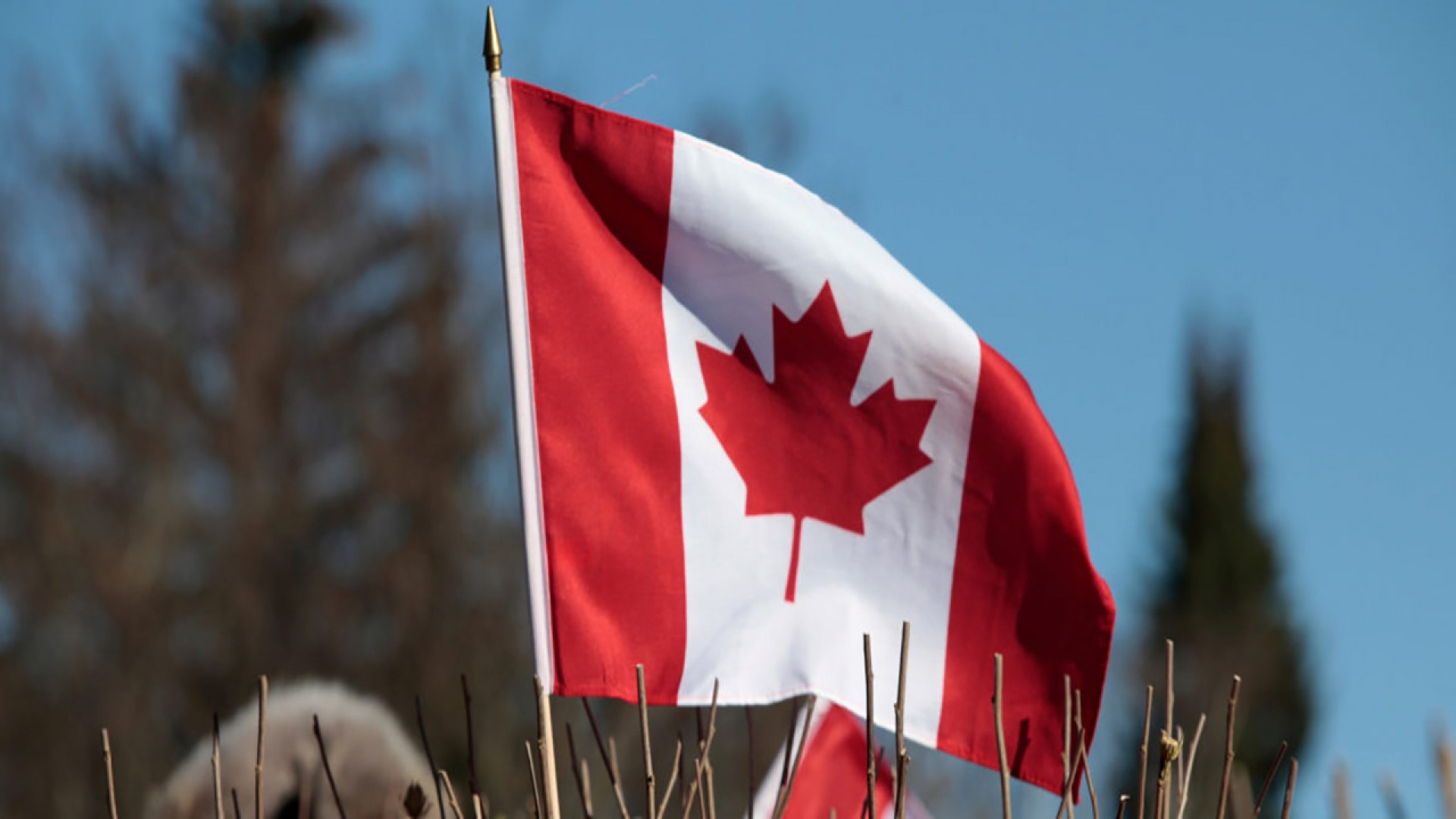 5 xu hướng văn hóa đang thịnh hành khi du học ở Canada