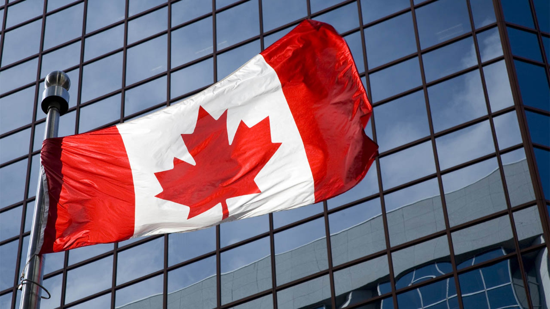 Hướng dẫn renew visa du học Canada (Phần 1)