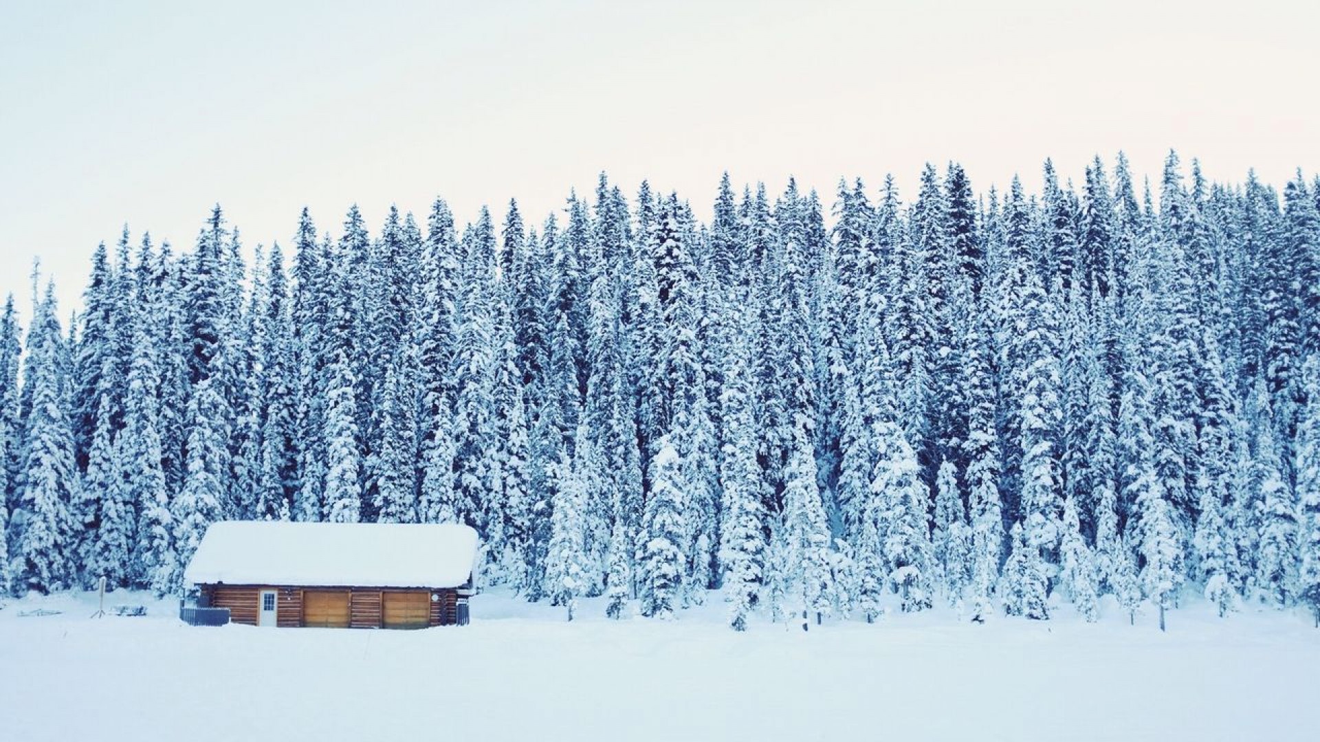 Chia sẻ kinh nghiệm du học Canada: Trải nghiệm mùa đông có một không hai