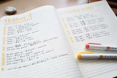 Học Kanji thông qua âm on và âm kun sẽ mang lại nhiều lợi ích cho bạn (Nguồn: pinterest)