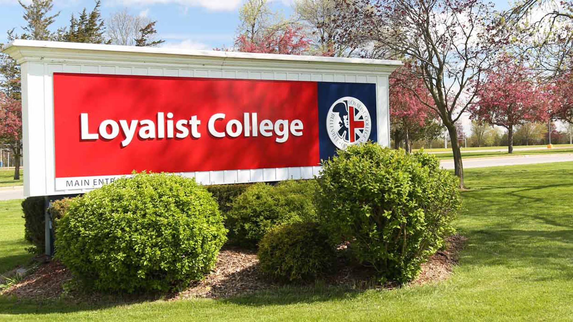 Loyalist College – Lựa chọn tuyệt vời cho du học cao đẳng Canada?